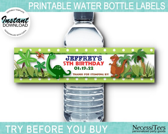 PRINTABLE Water Bottle Labels, Printable, Dinosaurs Theme, Prehistoric ...