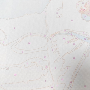 May include: Close-up of a paint-by-numbers canvas. The canvas is divided into numbered sections with light brown outlines. Numbers and sections are visible, ready for painting. The canvas is on a white background.