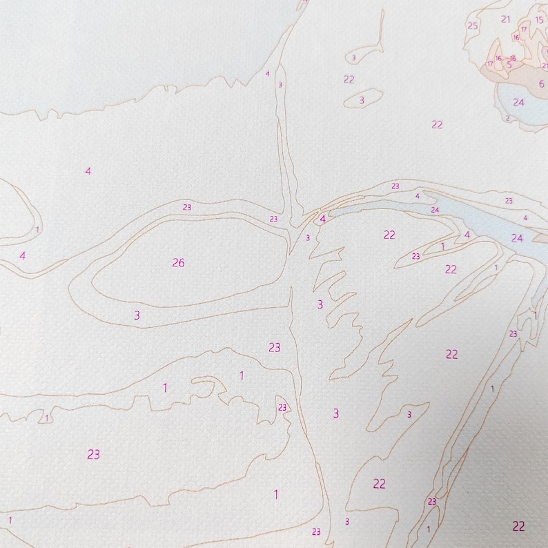 May include: Close-up of a paint-by-numbers canvas. The canvas is divided into numbered sections with light brown outlines. Numbers and sections are visible, ready for painting. The canvas is on a white background.