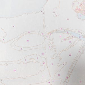 May include: Close-up of a paint-by-numbers canvas. The canvas is divided into numbered sections with light brown outlines. Numbers and sections are visible, ready for painting. The canvas is on a white background.