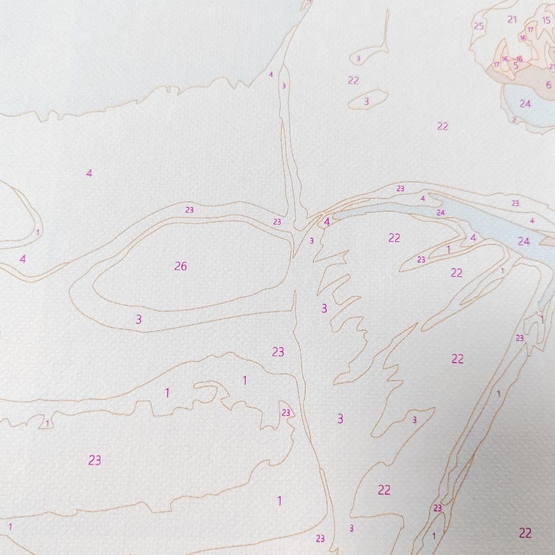 May include: Close-up of a paint-by-numbers canvas. The canvas is divided into numbered sections with light brown outlines. Numbers and sections are visible, ready for painting. The canvas is on a white background.