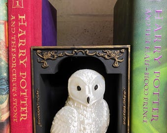 Hedwig Book Nook