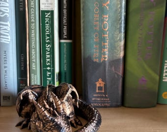 Sleeping Dragon Shelf Pet