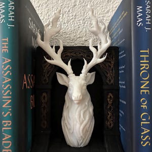 Terrasen Stag Book Nook