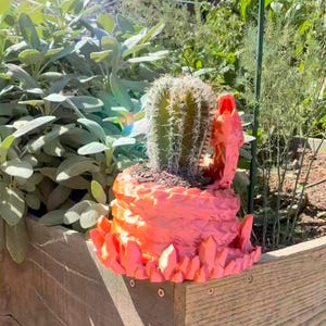 Puede incluir: Un pequeño cactus en una maceta texturizada de color coral con detalles en forma de cristal. La maceta está colocada en una jardinera de madera, rodeada de follaje verde. El cactus tiene espinas verdes y está sobre tierra oscura.