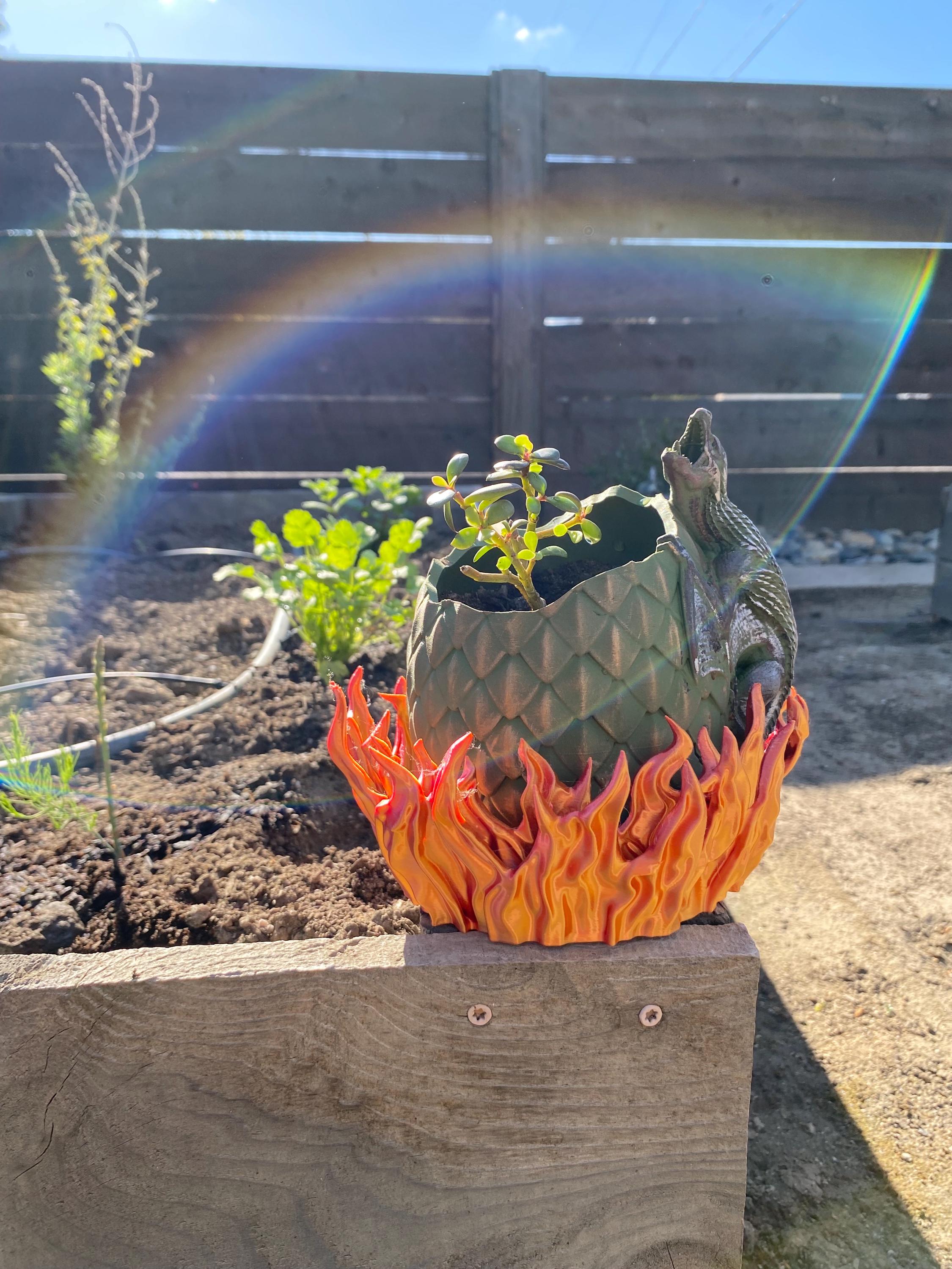 Dragon Egg Planter - Etsy
