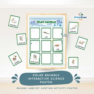 Op de afbeelding: Een educatieve poster met de titel "POLAR ANIMALS" en een sorteeractiviteit. De poster bevat illustraties van pooldieren zoals een sneeuwhaas, sneeuwuil en poolwolf. Extra kaarten tonen een kabeljauw en krill. Ontworpen voor interactief wetenschappelijk leren.