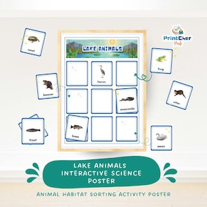 Op de afbeelding: Een ingelijste interactieve wetenschappelijke poster "Lake Animals" met dierenkaarten. De poster toont een meerlandschap en ruimtes voor dierenkaarten. Kaarten tonen een watersalamander, bever, forel, baars, reiger, anaconda, otter, kikker en zwaan.