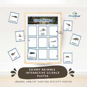 Op de afbeelding: Een ingelijste interactieve wetenschappelijke poster "Moerasdieren" met dierenkaarten. De poster bevat een raster voor het sorteren van dierenkaarten, waaronder anaconda, waterslang, paling, alligator en mug. Ontworpen voor een activiteit voor het sorteren van habitats.