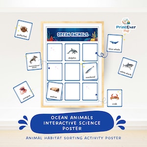 Op de afbeelding: Een educatieve poster met de titel "Oceaan Dieren" met een houten frame. De poster toont illustraties van zeedieren, waaronder een dolfijn, makreel en walrus. Bijpassende kaarten met diernamen en afbeeldingen zijn rond de poster verspreid. De tekst "Interactive Science Poster" is ook zichtbaar.