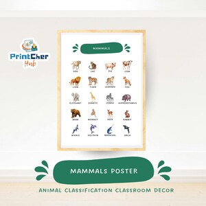 Poster di mammiferi per bambini / Tabella di apprendimento stampabile sui mammiferi / Decorazioni scientifiche per la classe e la scuola domestica