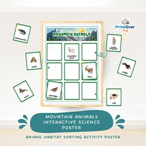 Op de afbeelding: Een ingelijste educatieve poster getiteld "Bergdieren" met illustraties van verschillende bergdieren en bijpassende kaarten. De poster bevat de tekst "Interactieve wetenschapsposter" en "Activiteitposter voor het sorteren van dierenhabitats".