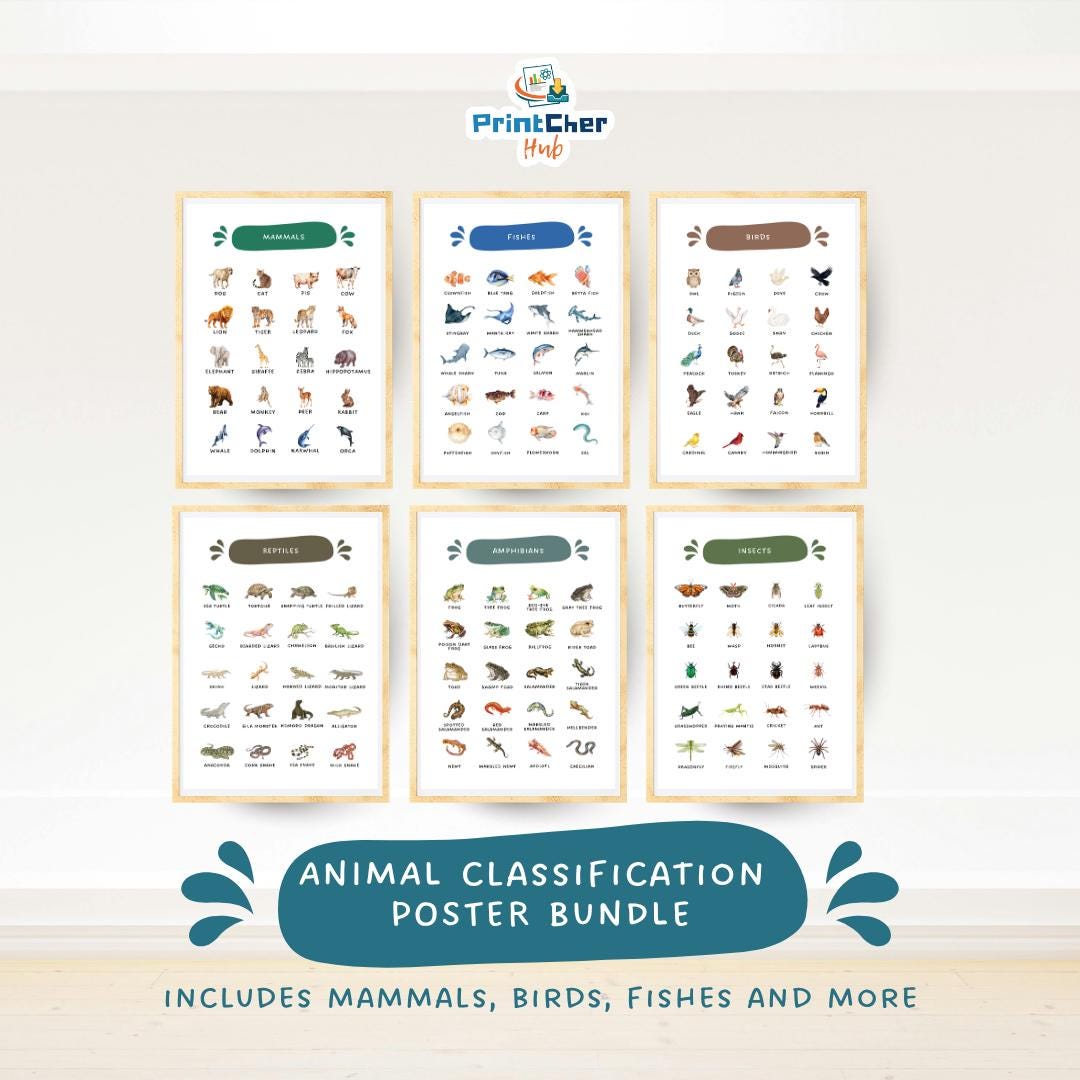Animal Classification Poster Bundle, Science Classroom Decor (digital ...