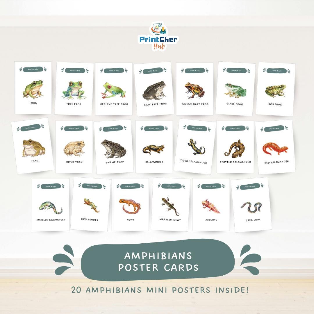 Amphibians Poster Cards Printable | Montessori Animal Mini Posters for ...