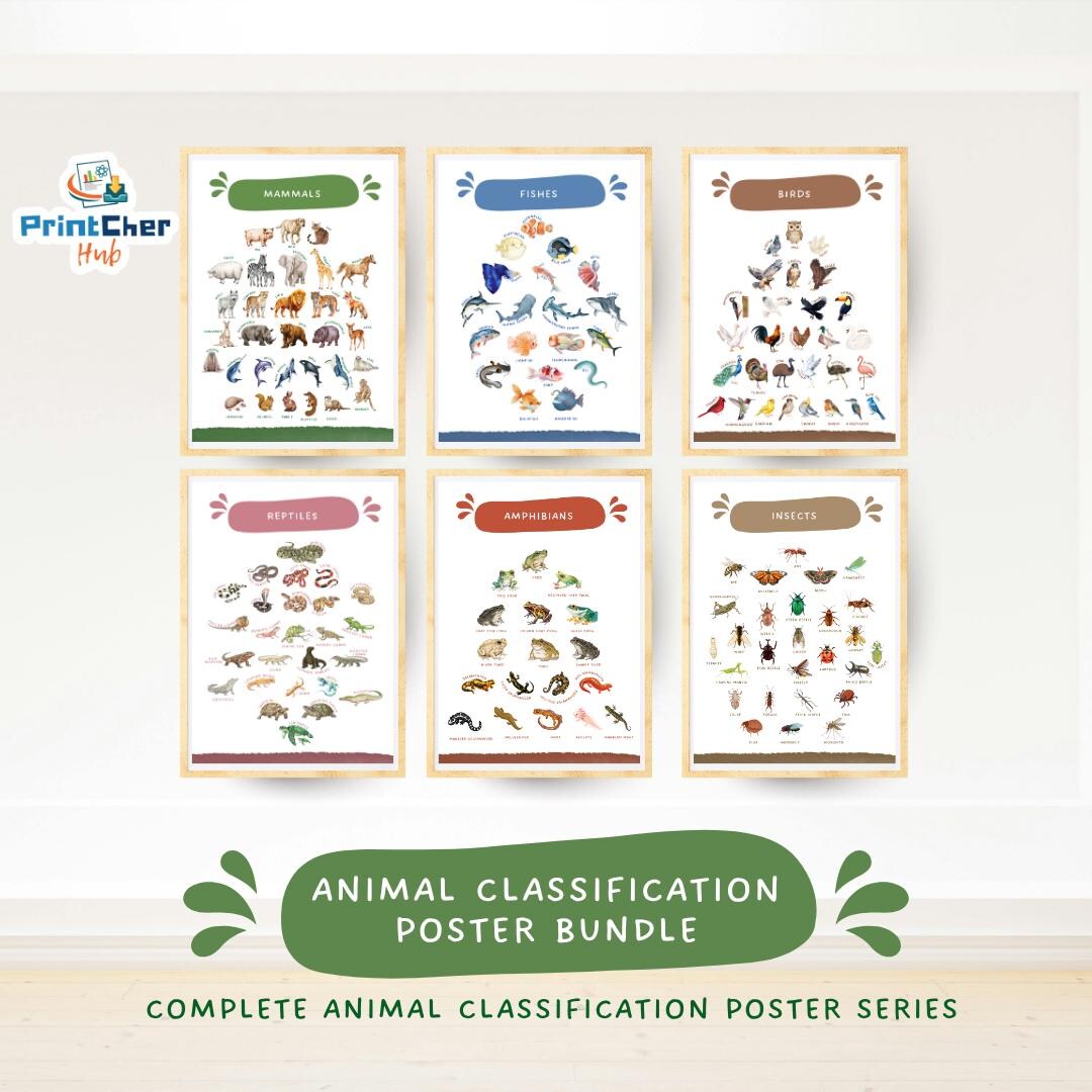 Animal Classification Poster Bundle, Science Classroom Decor (digital ...