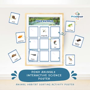 Op de afbeelding: Een ingelijste educatieve poster getiteld "Vijverdieren" met interactieve sorteervakken. Bevat geïllustreerde kaarten van vijverleven: slak, goudvis, schildpad, libelle, koi, bloedzuiger, boomkikker, monitorhagedis en eend. Ontworpen voor wetenschappelijk onderwijs.