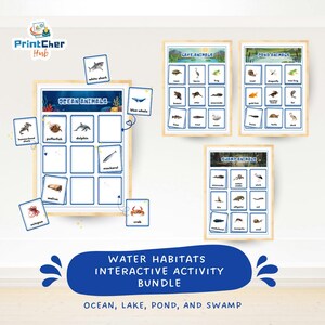 Op de afbeelding: Een interactieve activiteitbundel met dieren uit de oceaan, het meer, de vijver en het moeras. De bundel bevat geïllustreerde kaarten met dieren zoals haaien, dolfijnen en krabben, samen met educatieve posters. De tekst op de afbeelding luidt "Water Habitats Interactive Activity Bundle."
