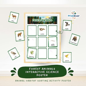 Op de afbeelding: Een ingelijste interactieve wetenschappelijke poster "Bosdieren" met dierenkaarten. De poster toont een boslandschap en lege vakken voor dierenkaarten. Dierenkaarten zijn onder meer een hert, een tijger, een uil, een slang, een wandelende tak, een adelaar, een bruine beer, een kikker en een papegaai.