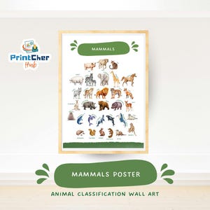 May include: A framed poster featuring a colorful illustration of various mammals. The poster includes the word "Mammals" at the top and "Mammals Poster" at the bottom. The poster is labeled "Animal Classification Wall Art".