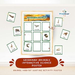 Op de afbeelding: Een ingelijste interactieve wetenschappelijke poster "Savanne Dieren" met dierenkaarten. De poster bevat een raster voor het sorteren van dierenkaarten zoals een krokodil, kever en leeuw. De kaarten bevatten illustraties van gier, olifant, giraffe, meerval, stokstaartje en kikker.