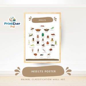 Insect Animals Poster for Kids | Printable Classroom & Homeschool Science Learning Chart | Educational Wall Decor