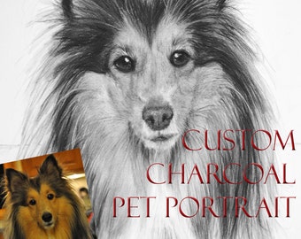 Pet Portraits Custom Personalized Charcoal Drawing of your Pet