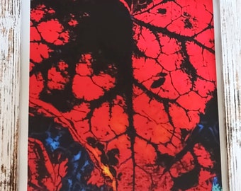 Red leaf framed digital art print abstract art