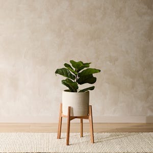 May include: A white ceramic planter with a textured surface sits on a wooden plant stand. The plant stand has four legs and a crossbar. A green leafy plant is growing in the planter.