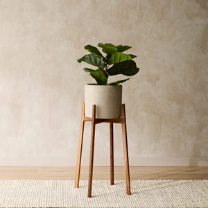 May include: A white ceramic planter with a green leafy plant sits on a wooden plant stand with four legs. The stand is on a white rug.