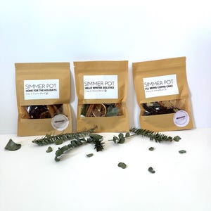 Handcrafted Simmer Pot Kit | Pack of 3 | Winter Blends | Cozy Stovetop Frangrance | All Natural