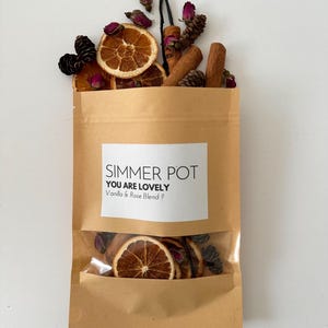Kit pour pot à infusion Vanille et Rose | Orange, Cannelle, Gousse de vanille et Rose | Parfum pur