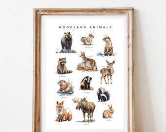 Montessori-dierenposters – set van 5 realistische prints, klasdecor