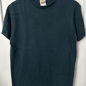 Vintage 00s Fruit of the loom Blank Shirt size S