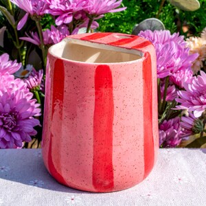 Peut inclure: Un pot de fleurs cylindrique en c&eacute;ramique avec une finition rose clair tachet&eacute;e et des rayures verticales rouge vif. Le r&eacute;cipient pr&eacute;sente un large sommet ouvert avec un bord inclin&eacute;, affichant une texture lisse et brillante sur toute la surface.