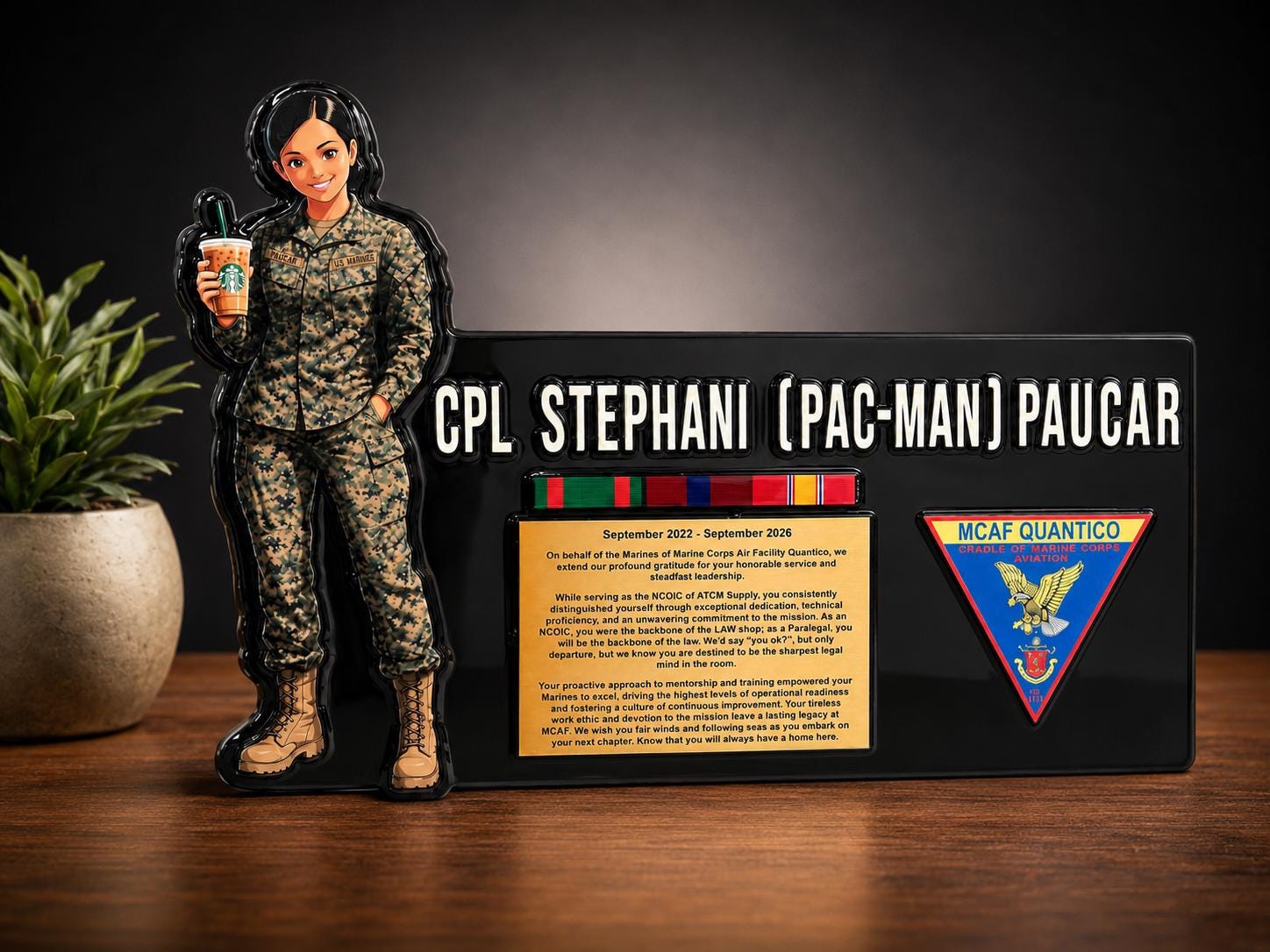 希少】アメリカ海兵隊（USMC）ヴィンテージ立体エンブレム 壁掛けプラーク