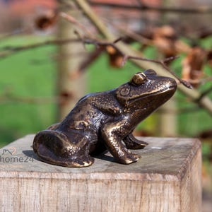 Könnte beinhalten: Eine bronzefarbene Froschskulptur mit strukturierter Oberfläche, platziert auf einem Holzblock. Der Frosch weist detaillierte Merkmale wie Augen und Hautstruktur auf. Der Hintergrund zeigt verschwommenes Grün und Äste.