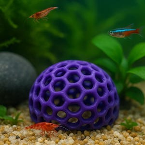 May include: A purple, spherical aquarium decoration with a honeycomb design sits on a bed of small pebbles. Two red shrimp and a small fish swim in the water. Green plants and a dark gray stone are in the background.