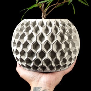 Hexa Modern Planter, Geometric Pot, Available in Multiple Colors, Indoor Outdoor Plant, 3D Geometric Modern Watering Pot, Gift