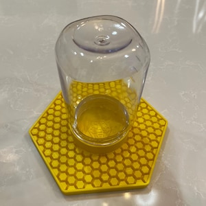 Woops! Forgot My Jar - Glass or Plastic for Bee Feeder & Hydration Station. JAR ONLY
