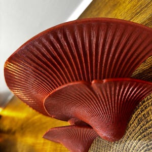 May include: Close-up of a cluster of three red mushroom sculptures with textured caps. The mushrooms are arranged in a layered formation, with the largest cap at the top. The background is a mix of gold and wood grain.