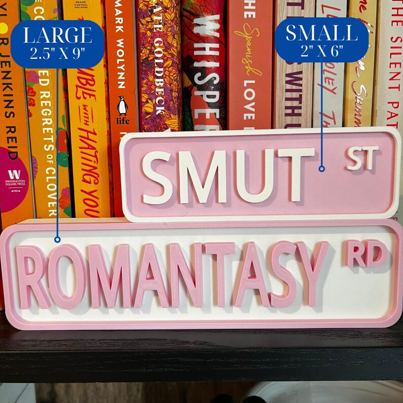 Romance Library Sign Customizable Bookshelf Street Sign: You Choose Colors & Sizes | 3D ...