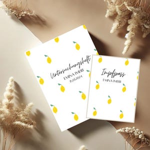U-Heft (Untersuchungsheft) und Impfpass Hülle Set, mit Früchten Zitronen