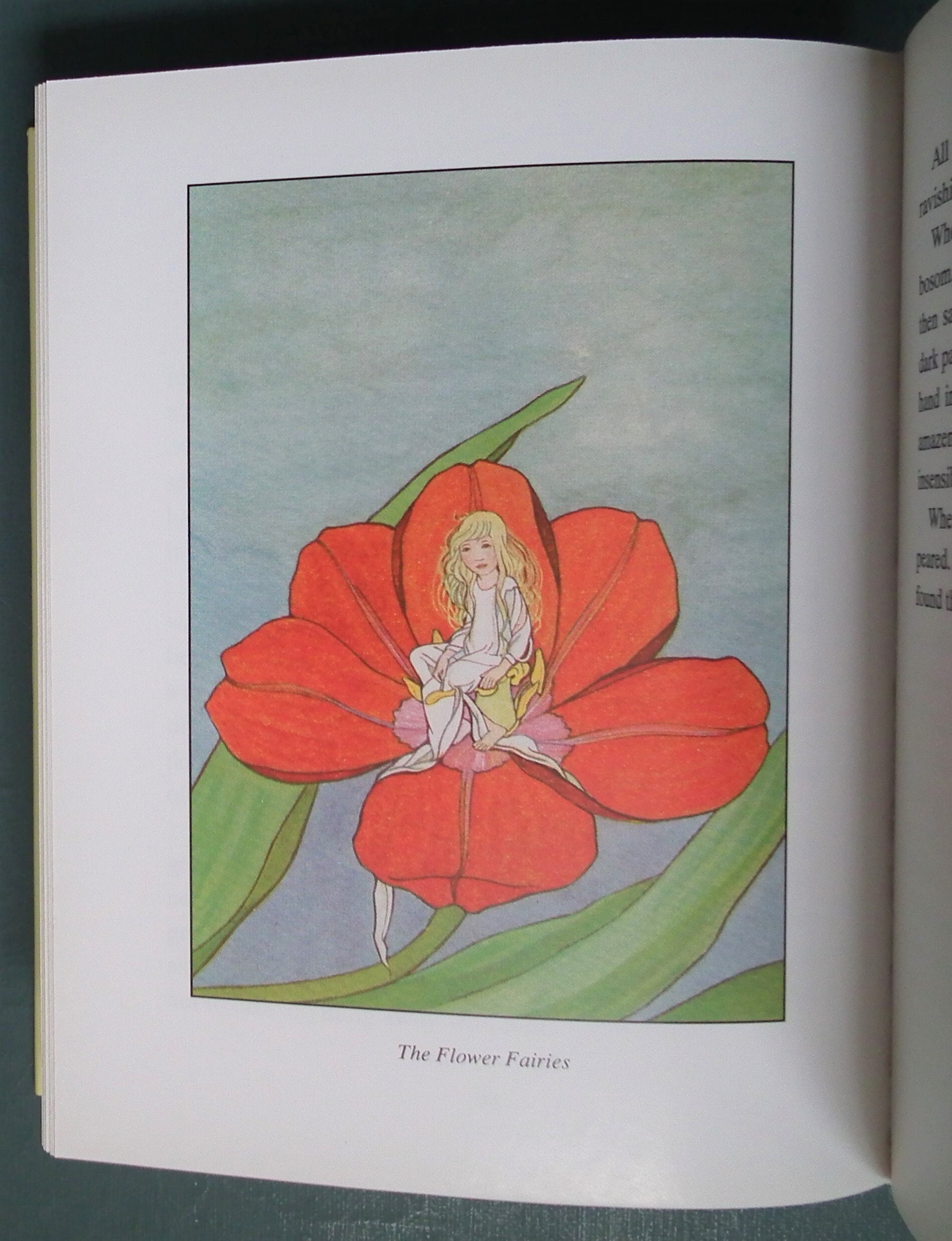 The Book of Elves and Fairies Stories Old and New Vintage Children's