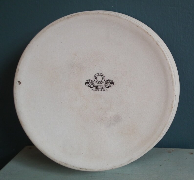 Baby's Plate Vintage Antique Nursery Ware Baby Bowl Dish Whieldon Ware F. Winkle & Co Ltd