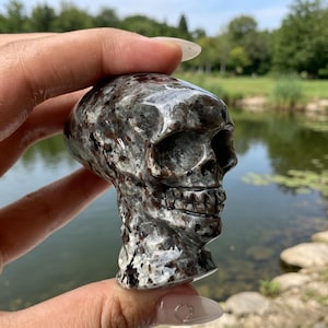 May include: A polished stone carving in the shape of a human skull. The material features a mottled pattern of dark brown, black, and grey mineral inclusions throughout the surface, creating a natural speckled appearance with a smooth, glossy finish.