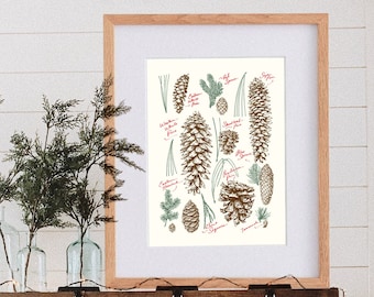 Rustic Pine Cone Christmas Wall Art - Farmhouse Christmas Wall Print - Pinecone Art - Holiday Decor Idea - Glossary of Pinecones