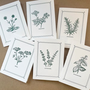 Cartes typographiques jardin d'herbes aromatiques - cadeau pour jardinier, cadeau pour gastronome, papeterie de jardin, paquet de graines - lot de 6 - presse typographique faite main