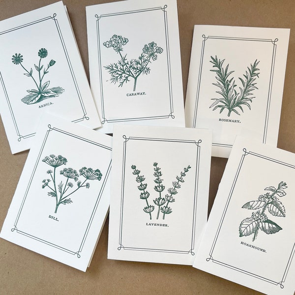 Herb Garden Letterpress Cards - Gift for Gardener, Gift for Foodie, Garden Stationery, Seed Packet - Boxed Set of 6 - Letter press Handmade