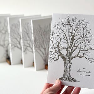 May include: A set of five cards with black and white illustrations of bare trees. The card in the foreground features a detailed drawing of an English Oak tree with the text "No. 1 Quercus robur ENGLISH OAK".