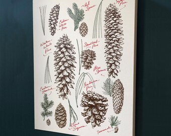 Rustic Pine Cone Wall Decor - Winter Holiday Decoration - Canvas Wrap Wall Art - Pinecones and Needles - Ready to Hang